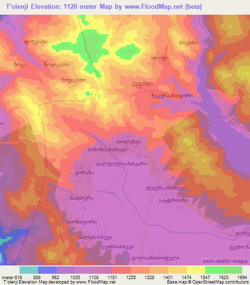 T'olenji,Georgia Elevation Map
