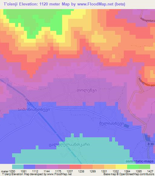 T'olenji,Georgia Elevation Map