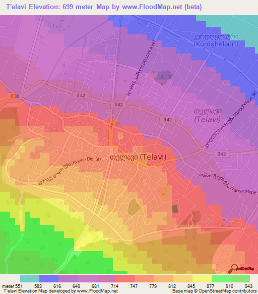 T'elavi,Georgia Elevation Map