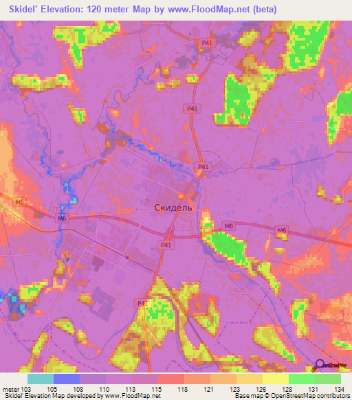 Skidel',Belarus Elevation Map