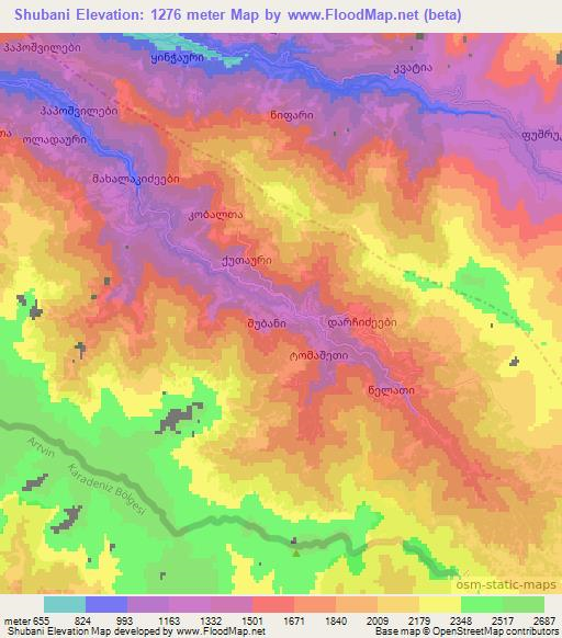 Shubani,Georgia Elevation Map