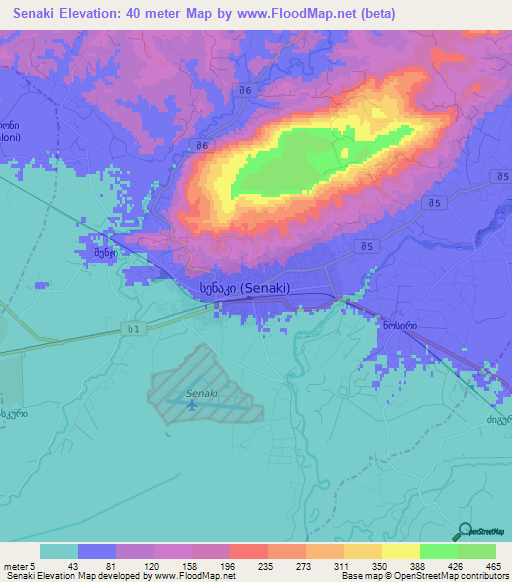 Senaki,Georgia Elevation Map