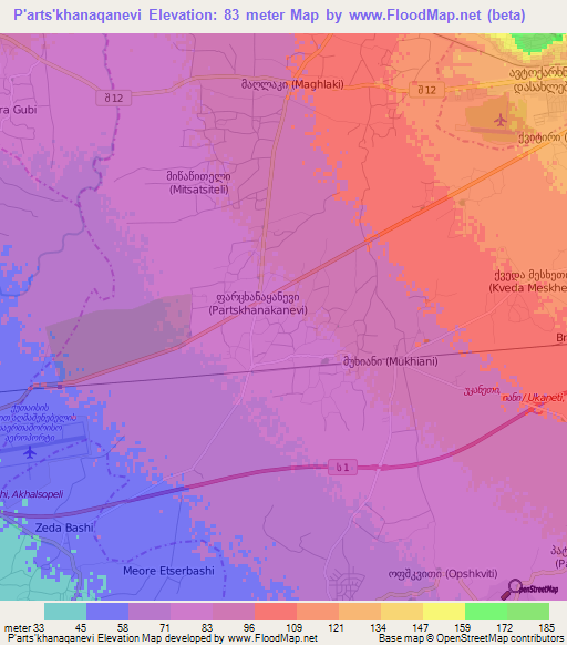 P'arts'khanaqanevi,Georgia Elevation Map