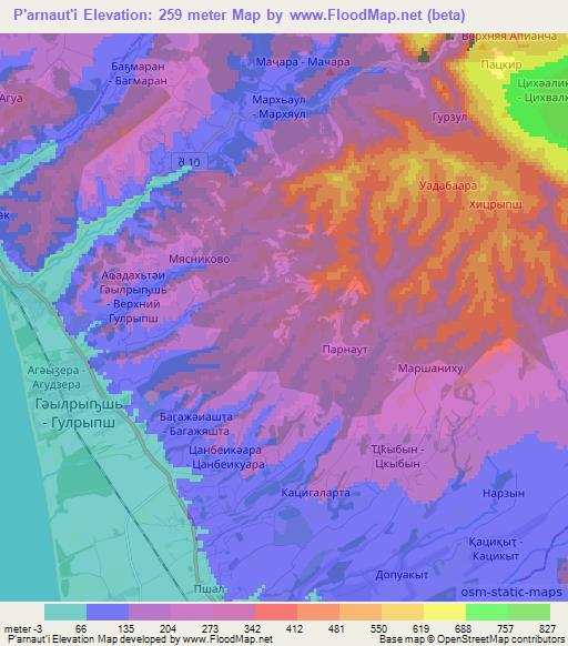 P'arnaut'i,Georgia Elevation Map