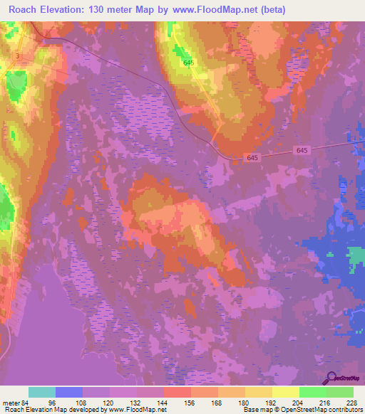 Roach,Canada Elevation Map
