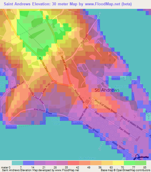 Saint Andrews,Canada Elevation Map