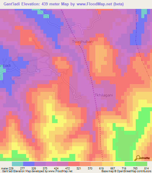 Gant'iadi,Georgia Elevation Map