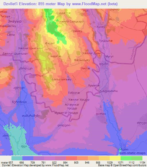 Dzvilet'i,Georgia Elevation Map