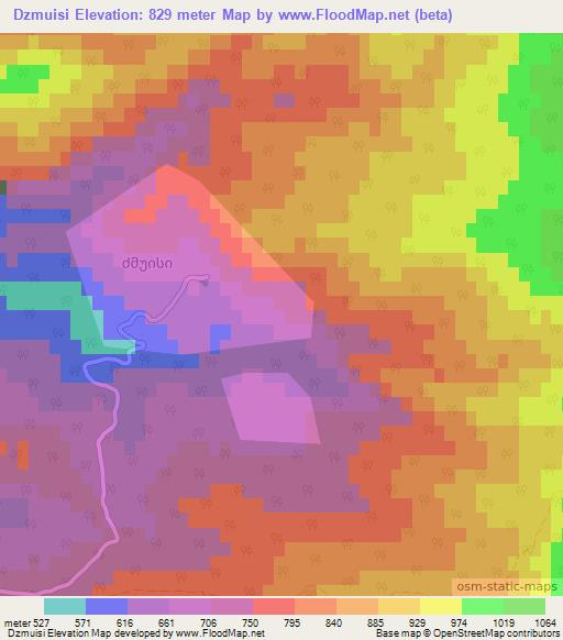 Dzmuisi,Georgia Elevation Map
