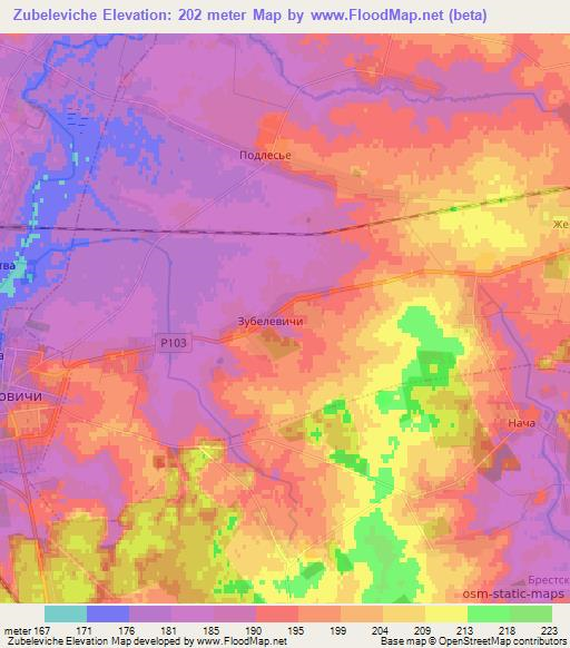 Zubeleviche,Belarus Elevation Map