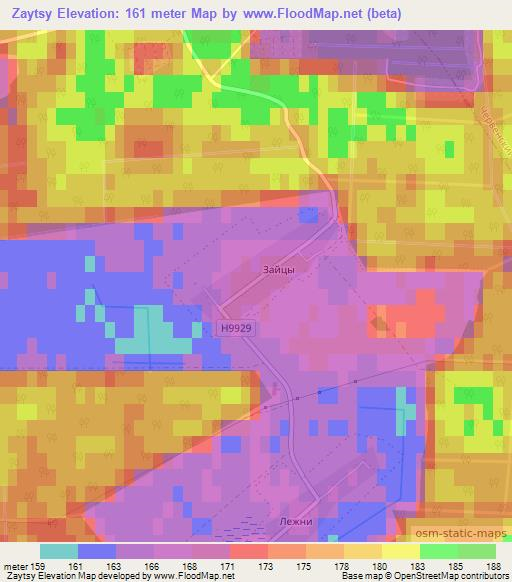 Zaytsy,Belarus Elevation Map