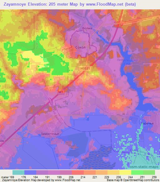 Zayamnoye,Belarus Elevation Map