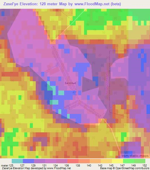 Zasel'ye,Belarus Elevation Map