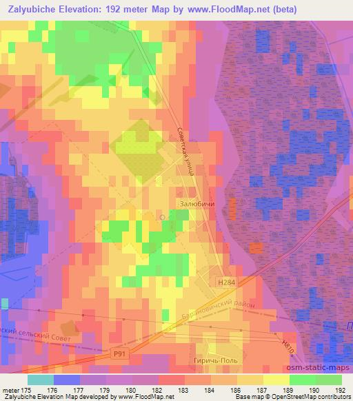 Zalyubiche,Belarus Elevation Map