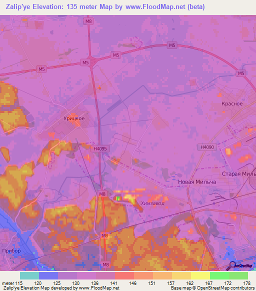 Zalip'ye,Belarus Elevation Map