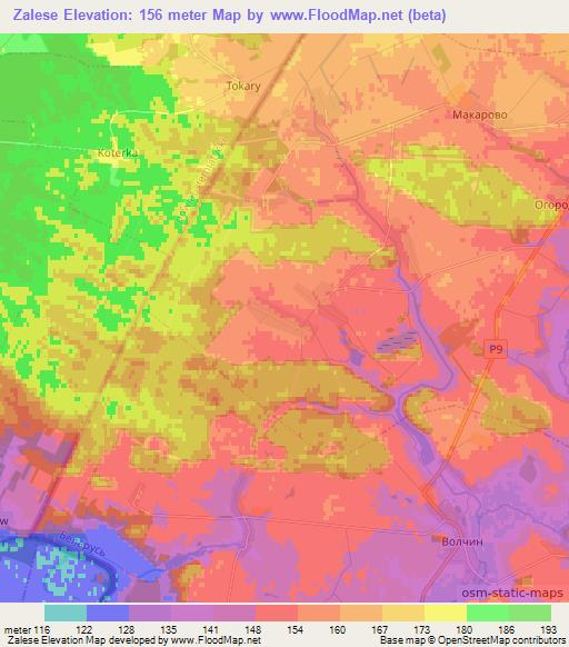 Zalese,Belarus Elevation Map
