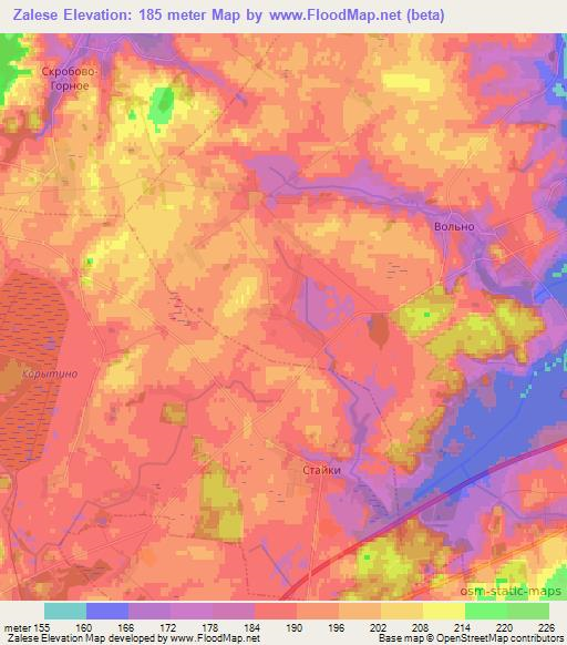Zalese,Belarus Elevation Map