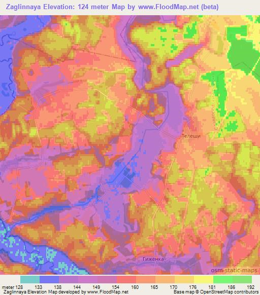 Zaglinnaya,Belarus Elevation Map