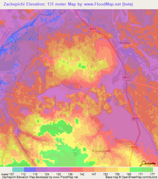 Zachepichi,Belarus Elevation Map