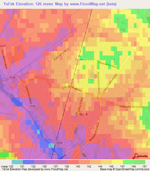 Yel'sk,Belarus Elevation Map
