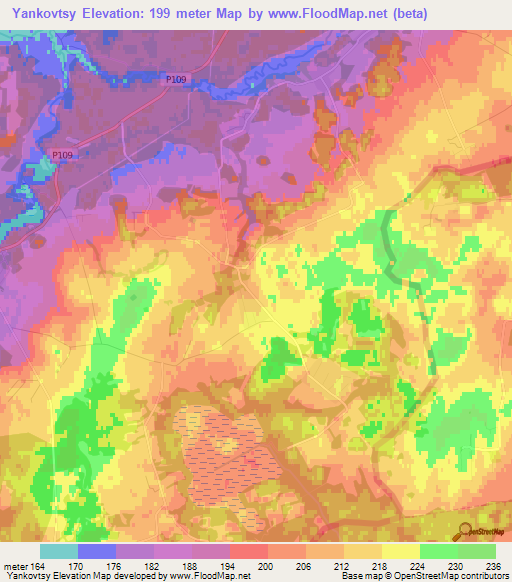 Yankovtsy,Belarus Elevation Map