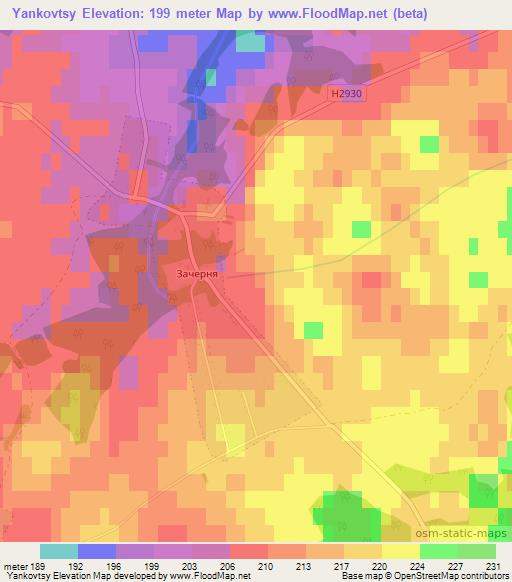 Yankovtsy,Belarus Elevation Map