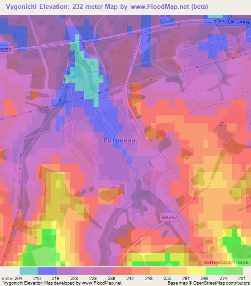Vygonichi,Belarus Elevation Map