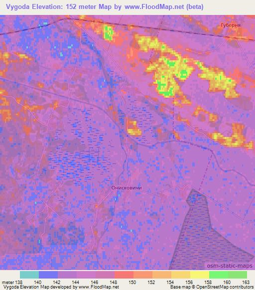 Vygoda,Belarus Elevation Map
