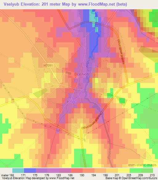 Vselyub,Belarus Elevation Map