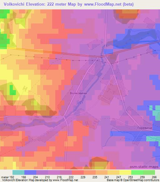 Volkovichi,Belarus Elevation Map