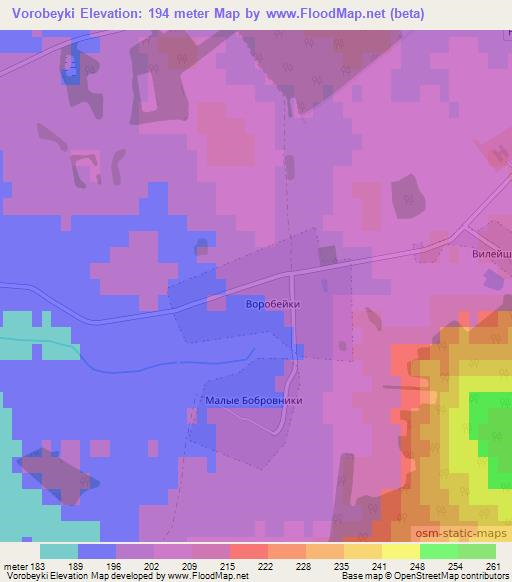 Vorobeyki,Belarus Elevation Map