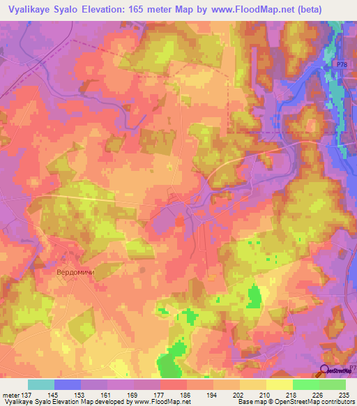 Vyalikaye Syalo,Belarus Elevation Map