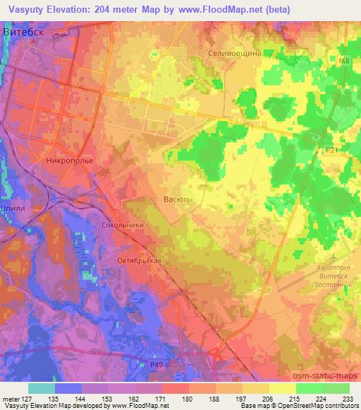 Vasyuty,Belarus Elevation Map