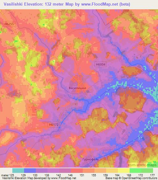 Vasilishki,Belarus Elevation Map