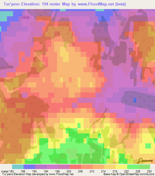 Tur'yevo,Belarus Elevation Map