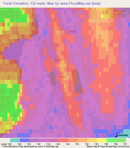 Tursk,Belarus Elevation Map