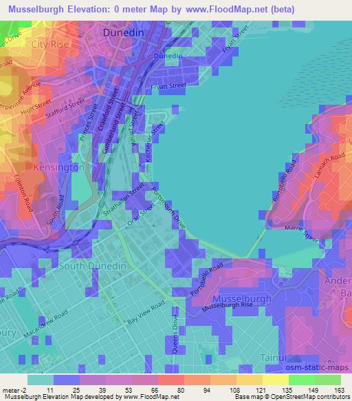 Musselburgh,New Zealand Elevation Map