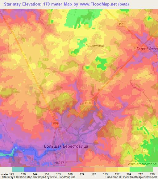 Starintsy,Belarus Elevation Map