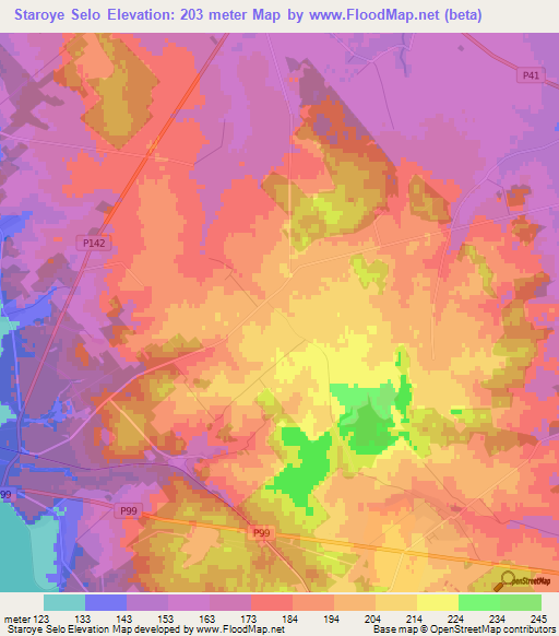 Staroye Selo,Belarus Elevation Map