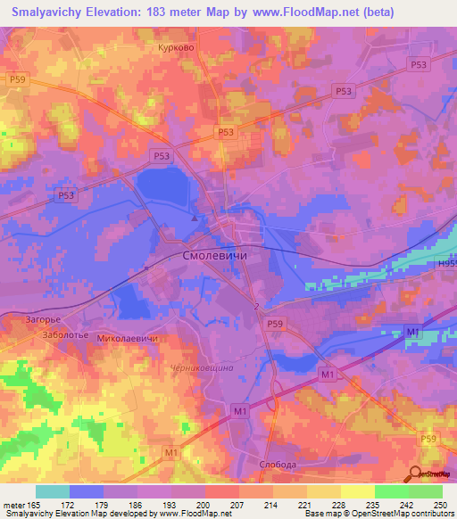 Smalyavichy,Belarus Elevation Map