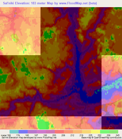 Sal'niki,Belarus Elevation Map