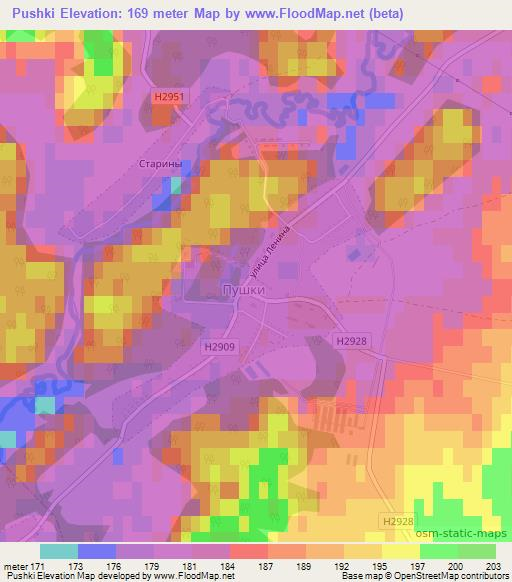 Pushki,Belarus Elevation Map