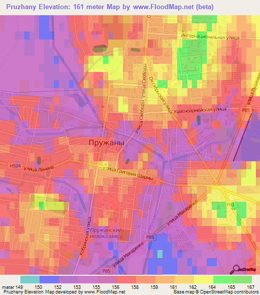 Pruzhany,Belarus Elevation Map