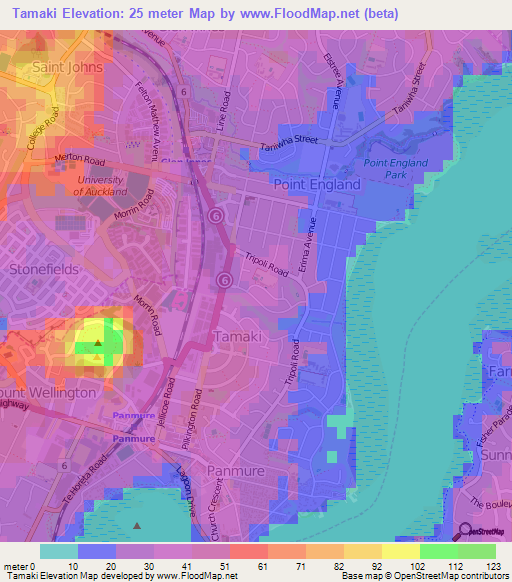 Tamaki,New Zealand Elevation Map