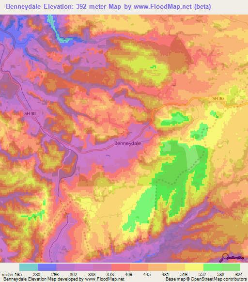 Benneydale,New Zealand Elevation Map