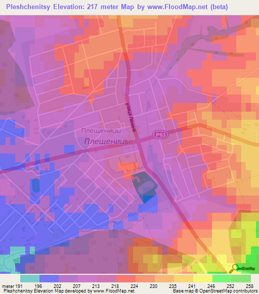 Pleshchenitsy,Belarus Elevation Map
