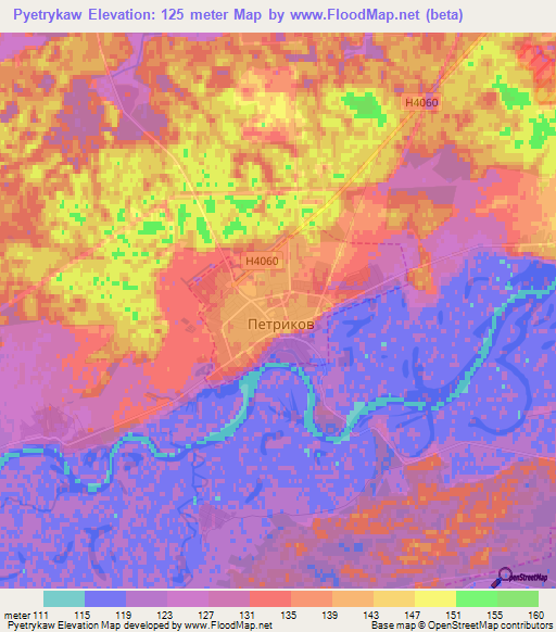 Pyetrykaw,Belarus Elevation Map