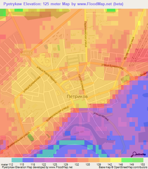 Pyetrykaw,Belarus Elevation Map
