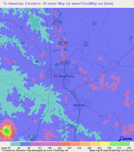 Te Awamutu,New Zealand Elevation Map