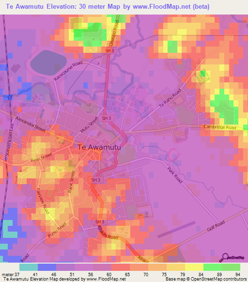 Te Awamutu,New Zealand Elevation Map